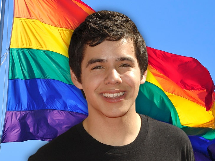 American Idol S David Archuleta Comes Out As LGBT During Pride Month