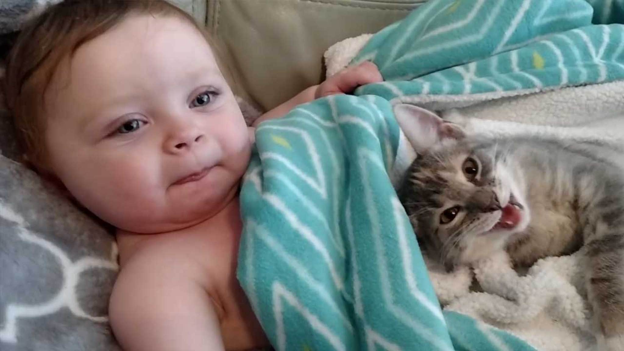 Найди видео малыш. Самые милые малыши. Кошка для детей. Котёнок-ребёнок. Котики милота.