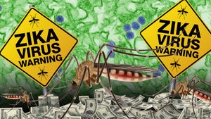 Zika Virus -- Entrepreneurs Gunning for Zillions