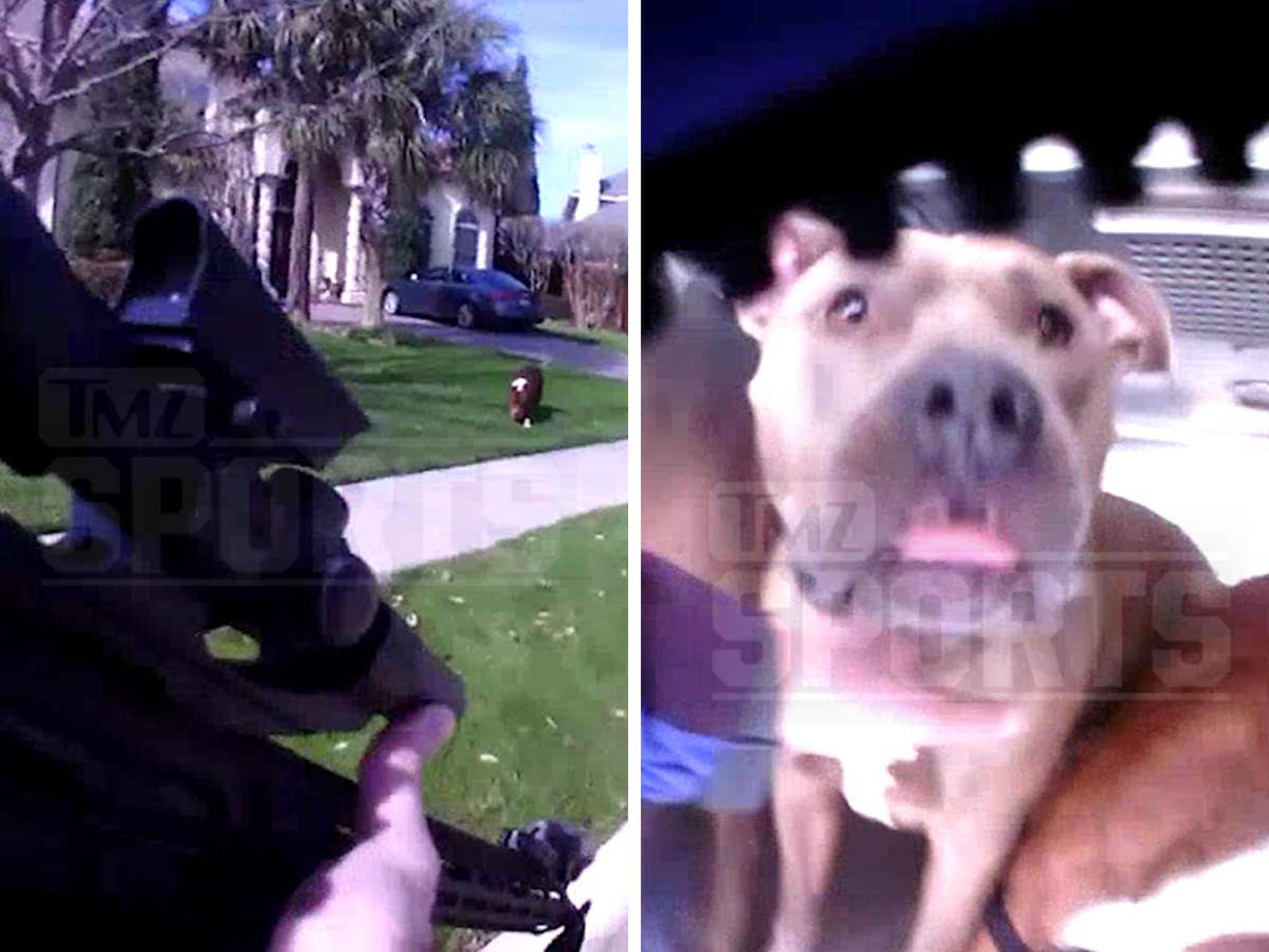 Dak Prescott Dog Attack Video Cops Drew Assault Rifle On Pets