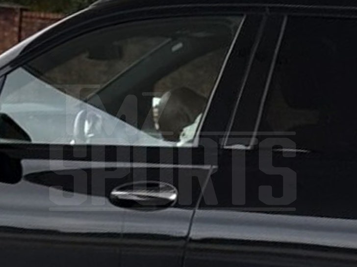 Adrian-peterson-tmz-1