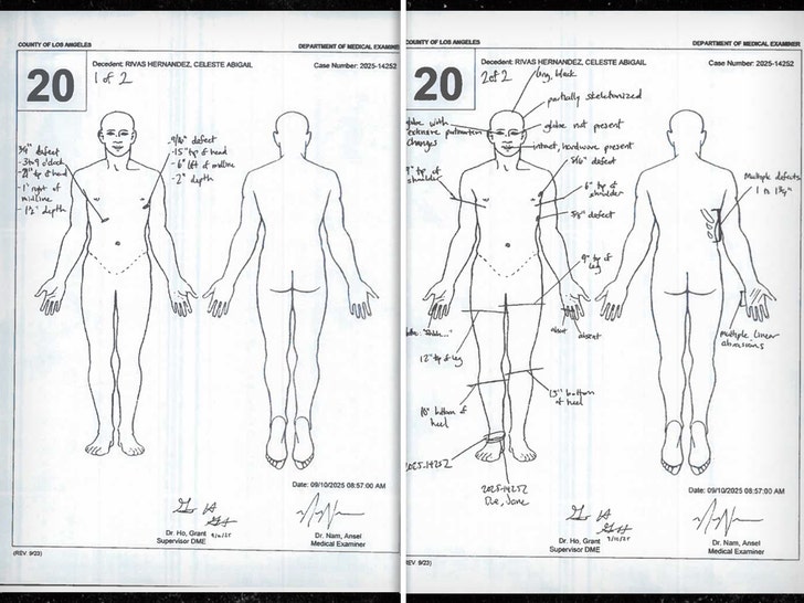 celeste-rivas-diagram-3