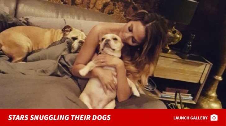 Stars Snuggling Their Dogs