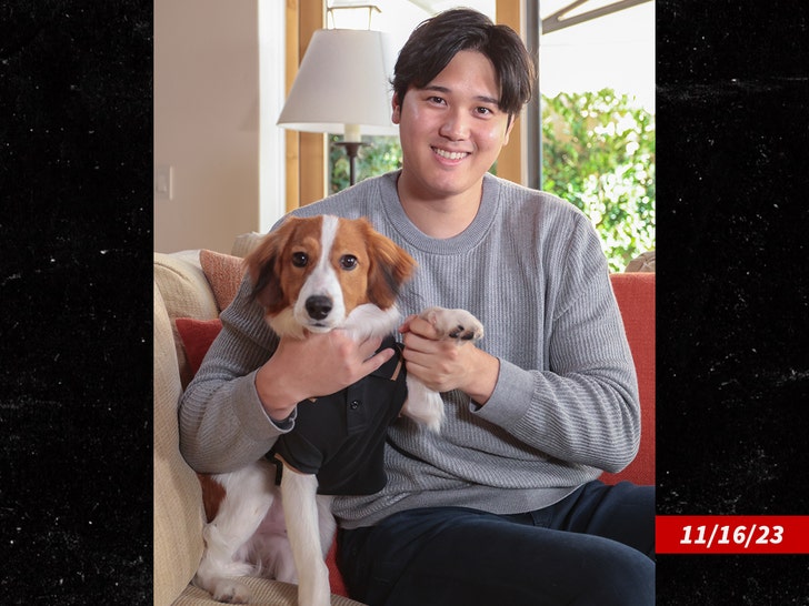 Dodgers Reveal Second Shohei Ohtani Bobblehead With Dog, Decoy!