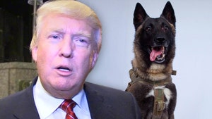 Conan The Dog Won't Be Awarded Medal of Honor for Syrian Raid