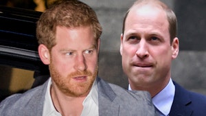 Princes William and Harry's Rift Upends Plan for Princess Diana Tribute