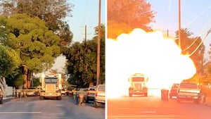 LAPD Bomb Squad Truck Explodes as it Detonates Illegal Fireworks, 17 Hurt