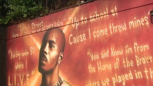First Look at DMX Mural Set to Be Unveiled in His Hometown