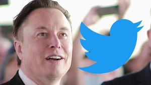 Elon Musk Announces He Bought Twitter in $44 Billion Deal