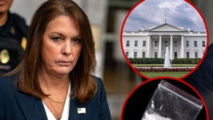 Ex-Secret Service Director Wanted To Destroy White House Cocaine Evidence