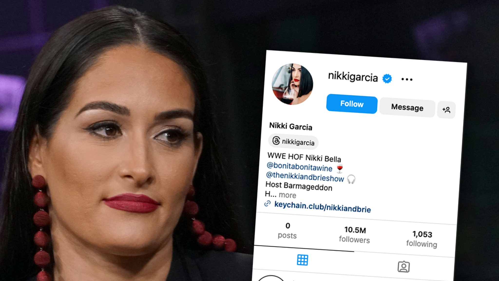 Nikki Bella Wipes Instagram After Settling Artem Chigvintsev Divorce