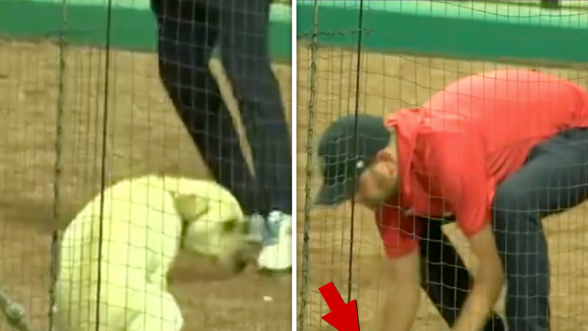 Minor League Official Scoops Up Bat Dog's Poop With Bare Hands