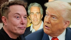 elon musk donald trump jeffrey epstein main getty