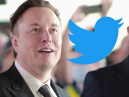 elon musk twitter