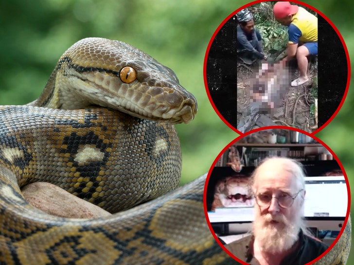 reticulated python eating woman  Mark O’Shea