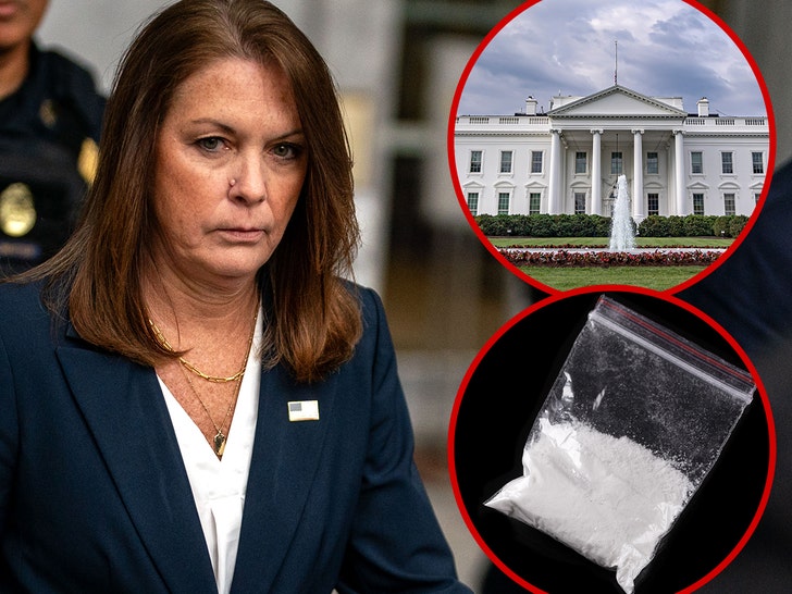 Kimberly Cheatle white house cocaine