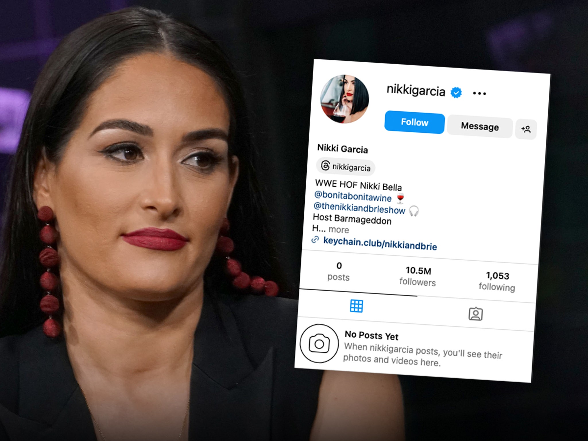 Nikki Bella Wipes Instagram After Settling Artem Chigvintsev Divorce, image size:2048x1536