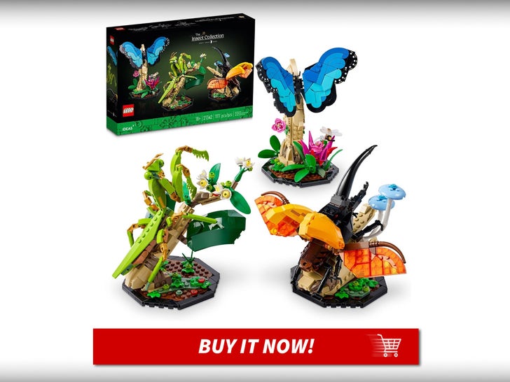 LEGO-Ideas-The-Insect-Collection-MAIN