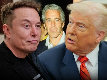 elon musk donald trump jeffrey epstein main getty