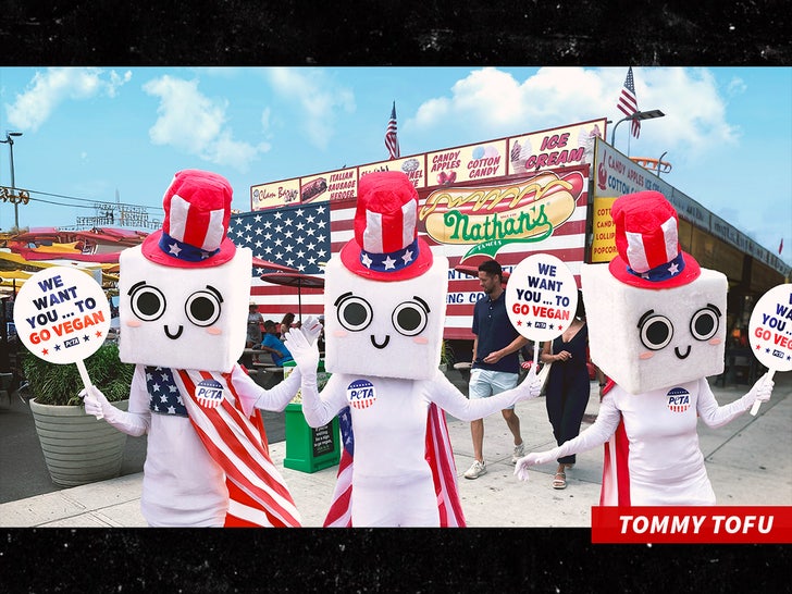 tommy tofu peta sub swipe