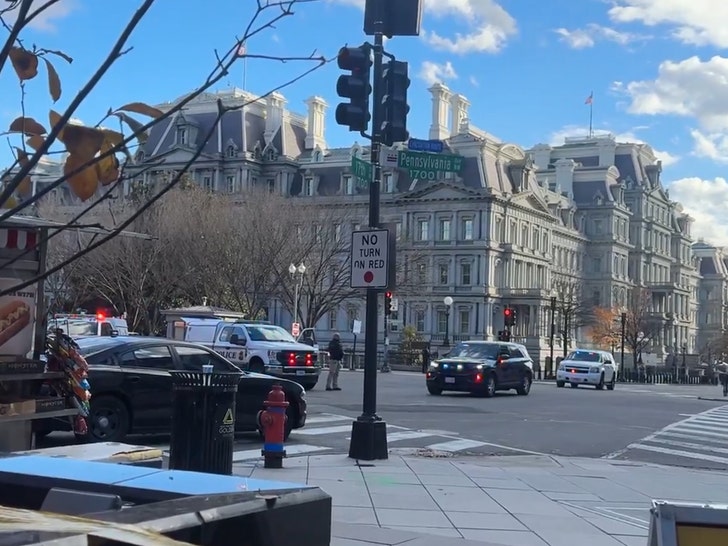 white--house-1-police