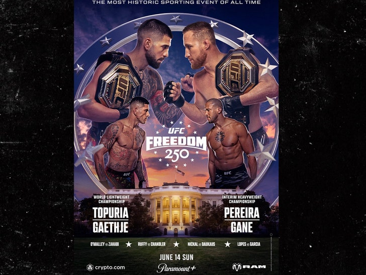 ufc freedo, 250 poster