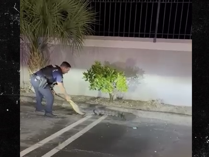 042226 police alligator SG