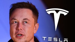 Elon Musk Reopens Tesla Factory In Defiance Of Alameda County Order