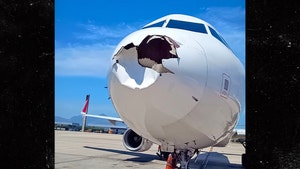 plane forced to land after birdstrike 1