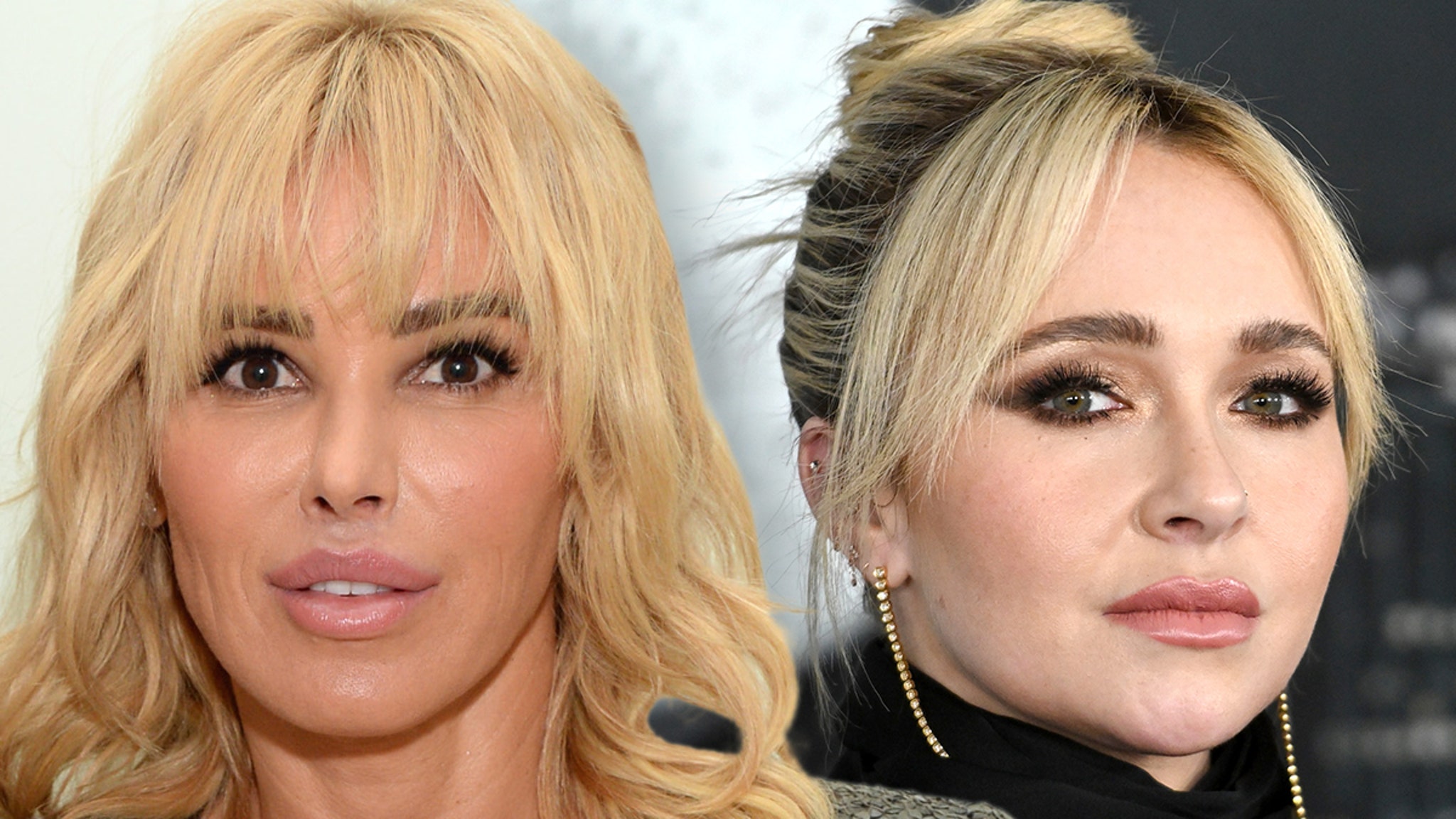 &lsquo;RHOBH&rsquo; Diana Jenkins Denies She&rsquo;s Woman Who Put Hayden Panettiere In Bed With Nude Star