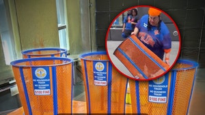 knicks trash bin stealer 1