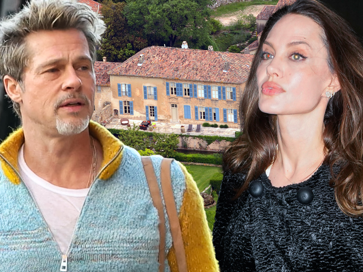 Brad Pitt, Angelina Jolie's French winery battle back in court