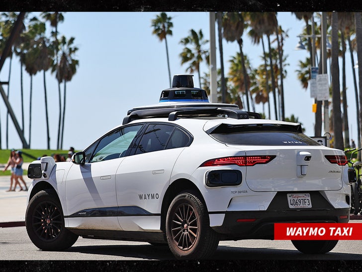 Waymo self-driving taxi car sub