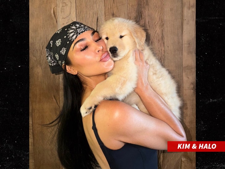 kim-kardashian-halo-dog-ig-1
