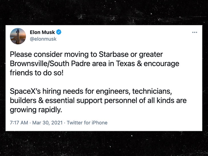 Elon Musk Leaving Twitter / Billionaire Elon Musk Is Leaving Twitter For A While : Elon musk has