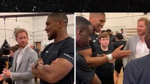 Anthony Joshua All Smiles With Prince Harry At Charity Event After Loss