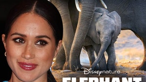Listen to Meghan Markle Narrating Disney Film 'Elephant'