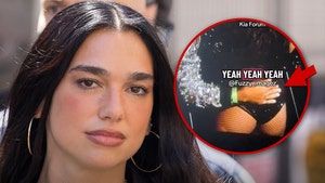 dua lip and fan getty tiktok 1