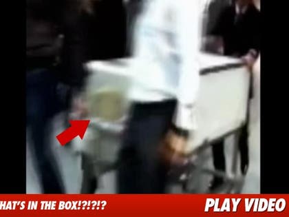 0222_lady_gaga_coffin_splash_video