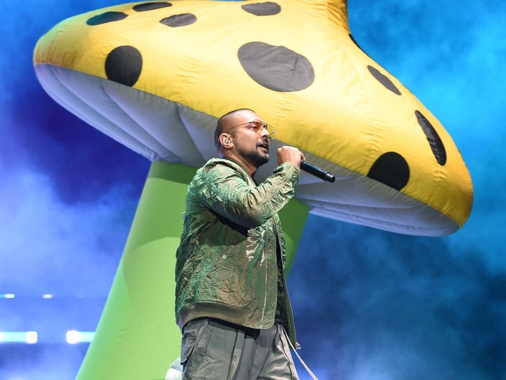 Sean Paul Performance Photos