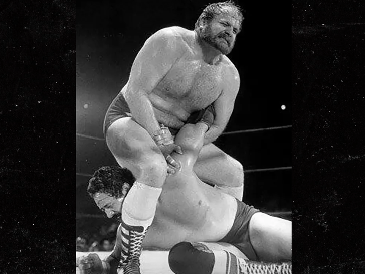 Ole anderson