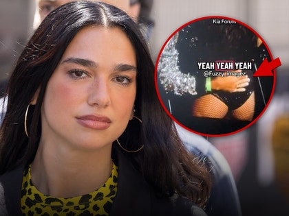 dua lip and fan getty tiktok 1