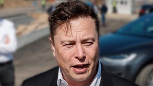 Elon Musk Trolled By Doctor Calling Him 'Space Karen' Over COVID Test