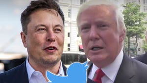 Elon Musk Says He Would Reverse Trump's Twitter Ban