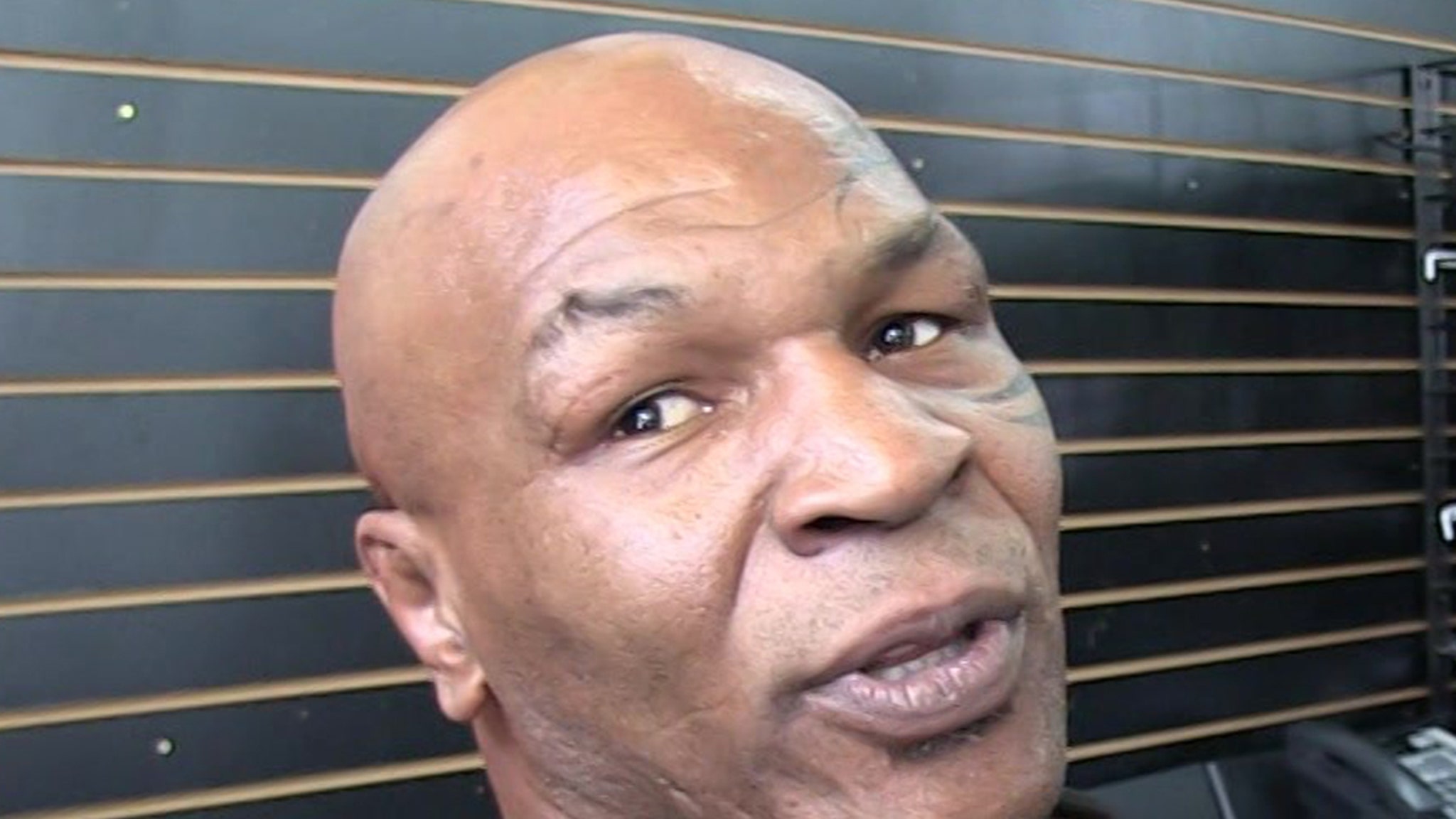 Mike Tyson Won't Face Criminal Charges Over Airplane Attack