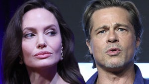 Brad Pitt's Ex-Security Claims Angelina Jolie Told Kids to Avoid Him