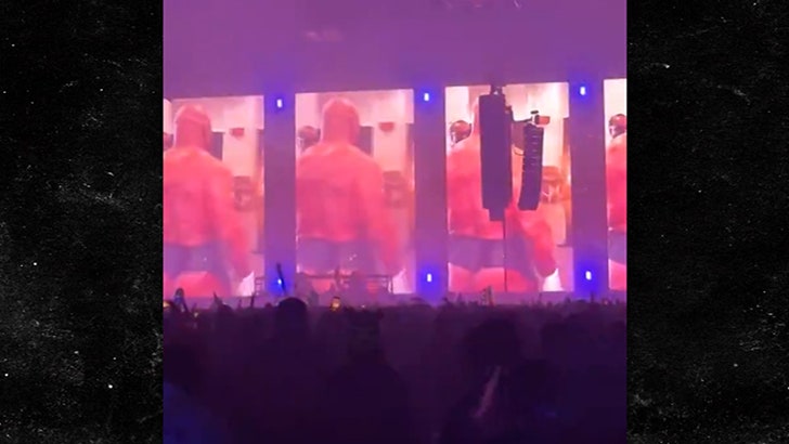 DJ Alison Wonderland Uses Mike Tyson’s Bare Ass in Visuals For Concert