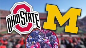 ohio state michigan football fight