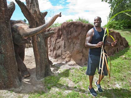 0809_Shaq_elephant