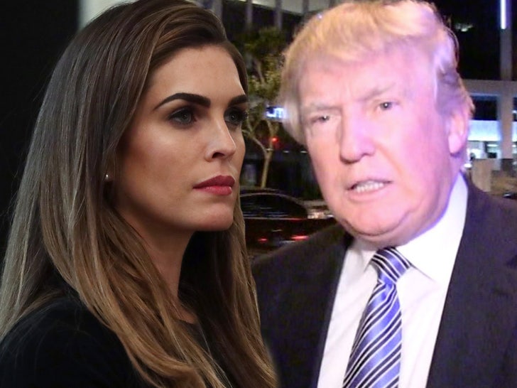 1001 hope hicks donald trump tmz getty